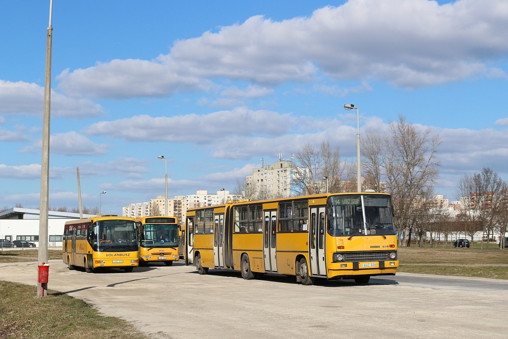 Ungarn, other, Ikarus 280.52A Nr. AVC-936