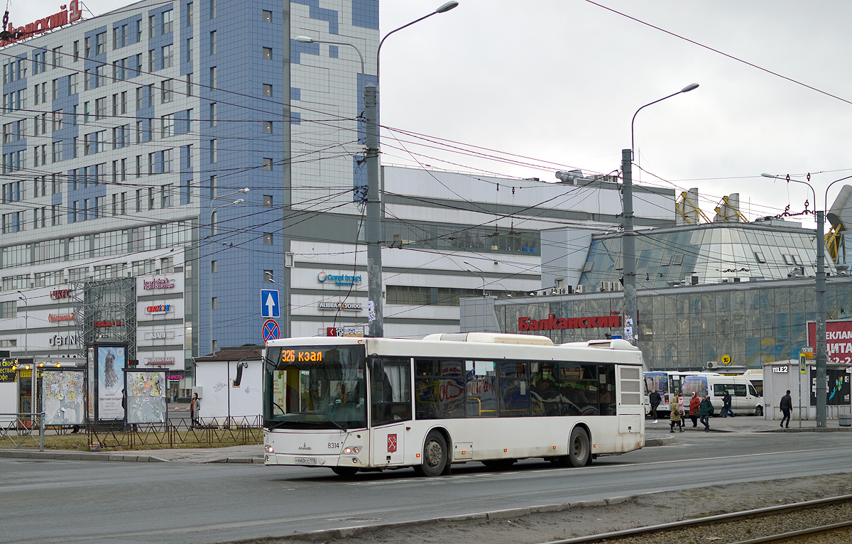 Saint Petersburg, MAZ-203.085 # 8314