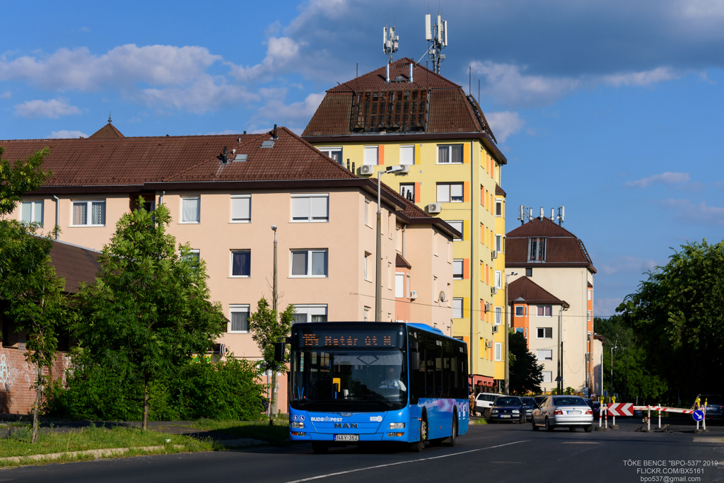 Budapešť, MAN A21 Lion's City NL283 č. NAY-362