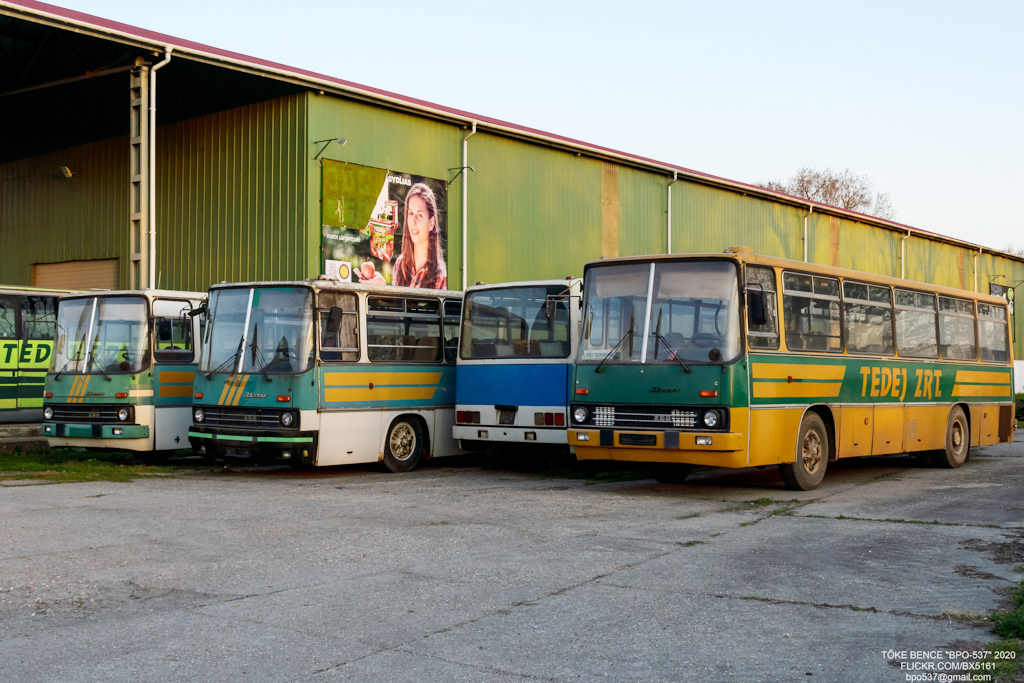Ungaria, other, Ikarus 256.50V nr. FIS-207; Ungaria, other, Ikarus 211.01 nr. CCH-647; Ungaria, other, Ikarus 266.25 nr. FIS-208; Ungaria, other, Ikarus 266.25 nr. FIS-205