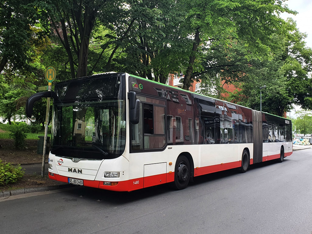 Bochum, MAN A23 Lion's City G NG323 № 1480