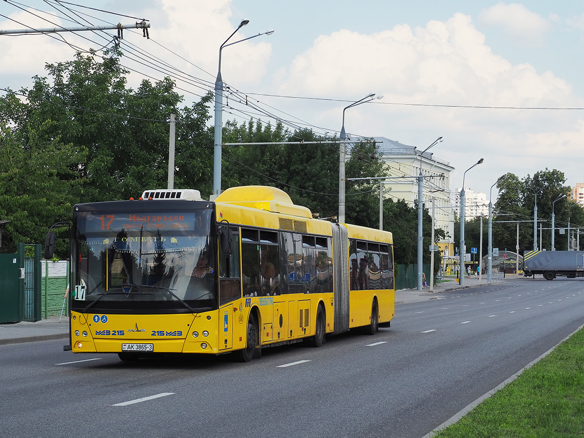 Gomel, MAZ-215.169 # 036919