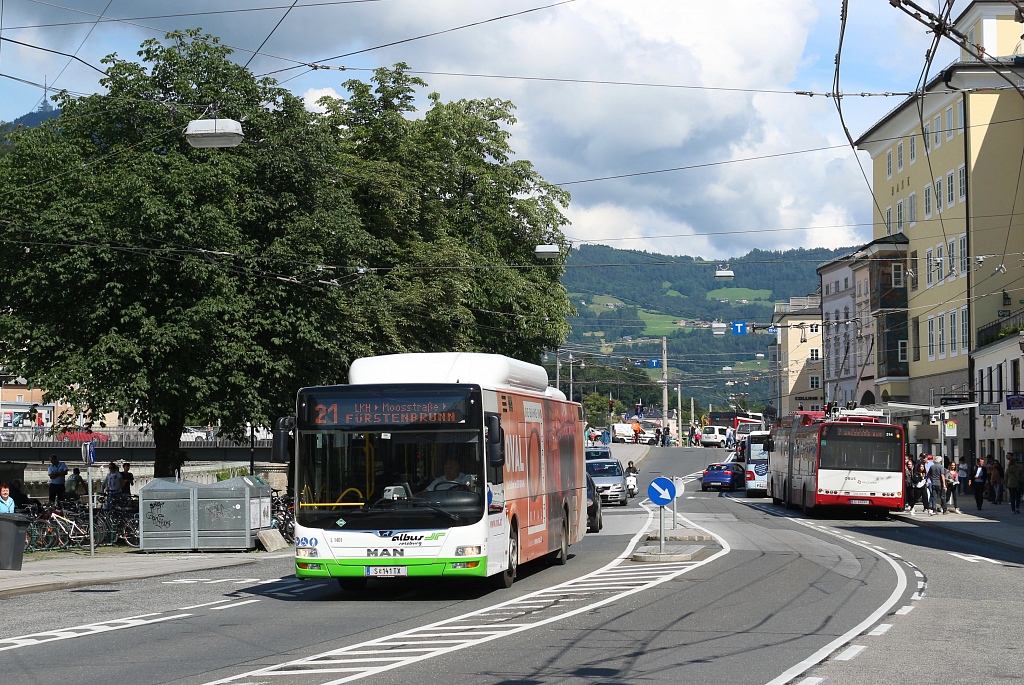 Salzburg, MAN A21 Lion's City NL313 CNG # L1401