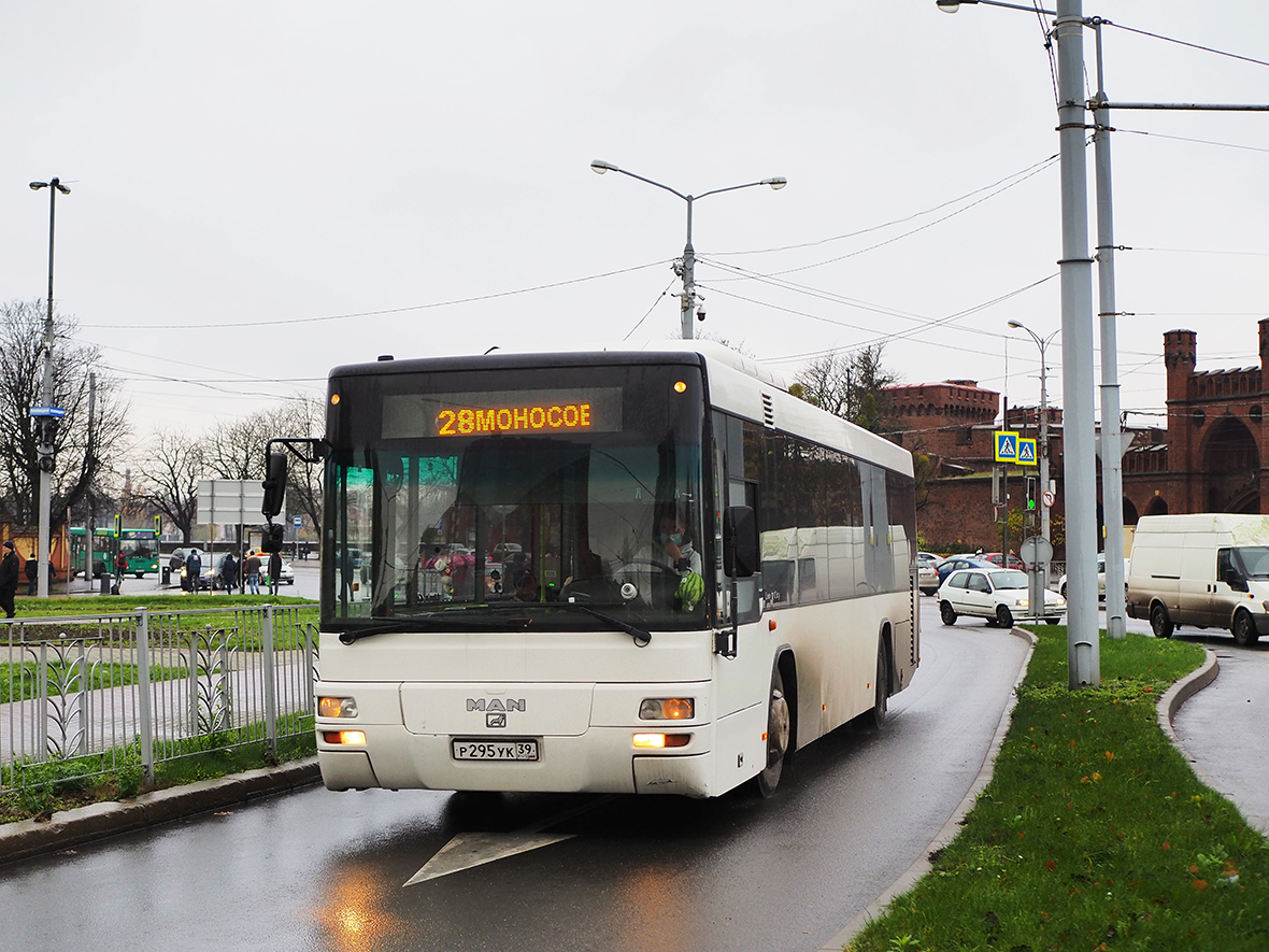 Kaliningrad, MAN A78 Lion's City T EL263 # Р 295 УК 39