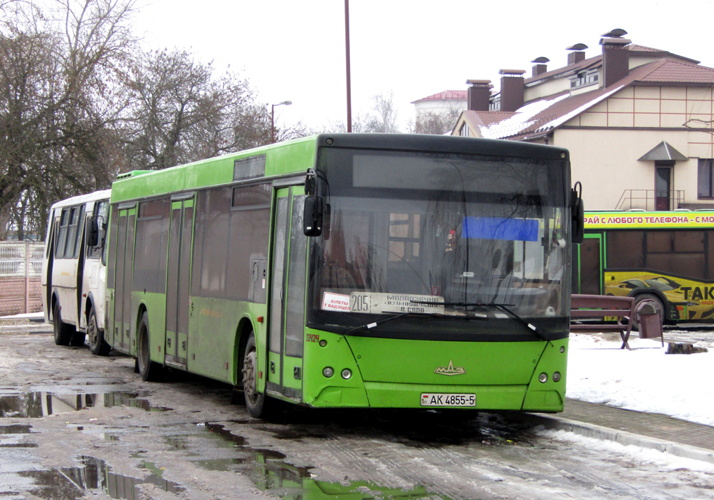 Molodechno, MAZ-203.065 # 23424