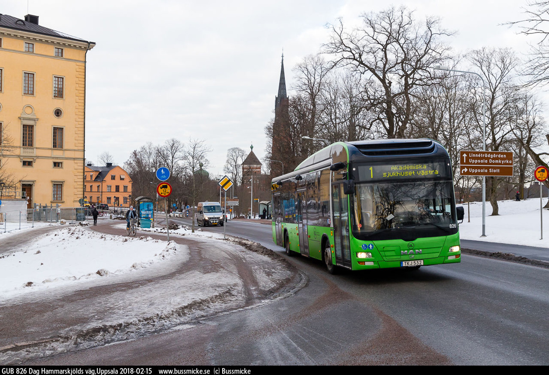 Uppsala, MAN A37 Lion's City NL253 Hybrid № 826