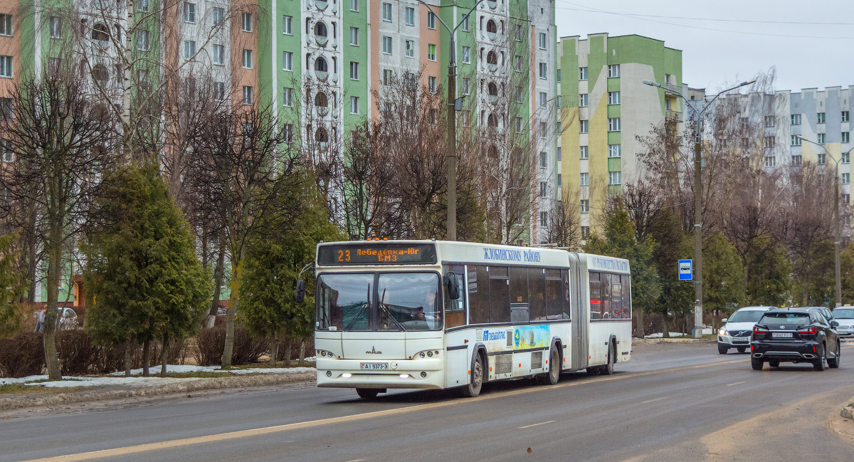 Zhlobin, МАЗ-105.465 č. 20151