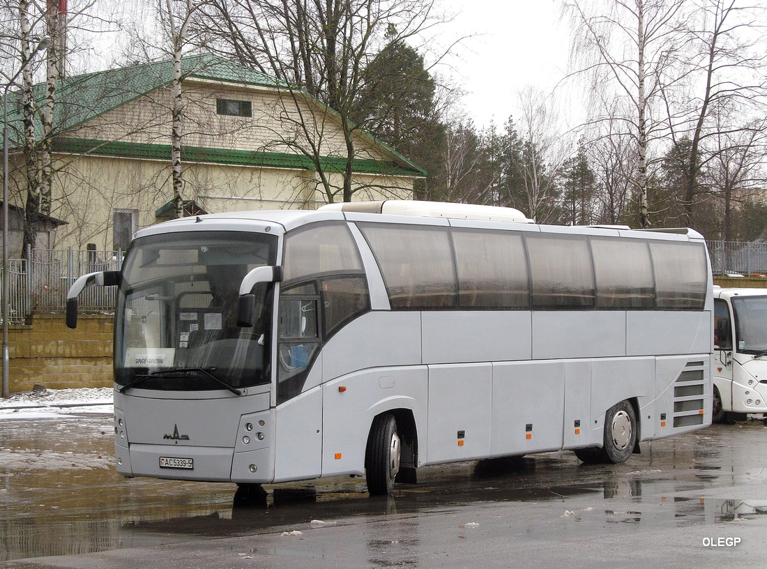 Borisov, МАЗ-251.062 č. АС 5339-5
