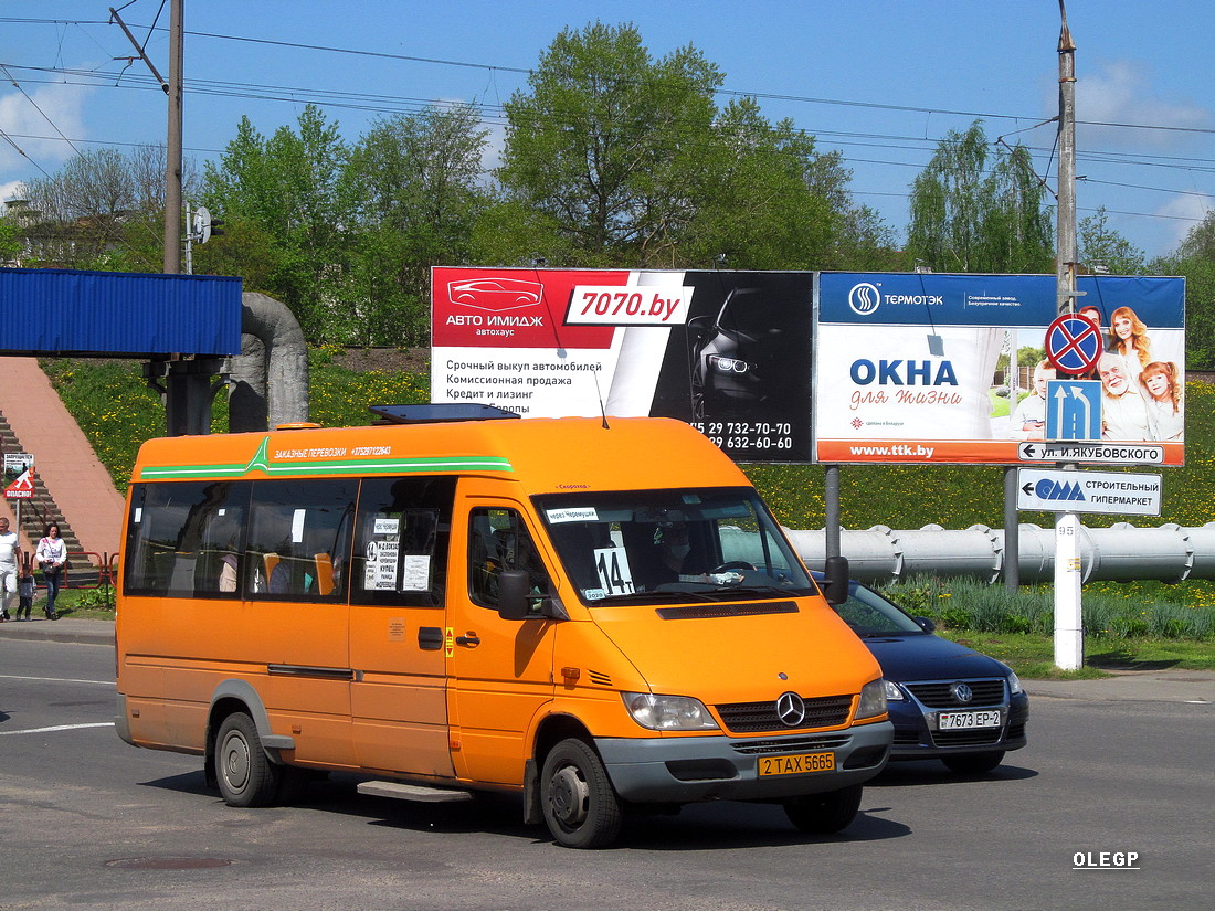 Orsha, Mercedes-Benz Sprinter № 2ТАХ5665