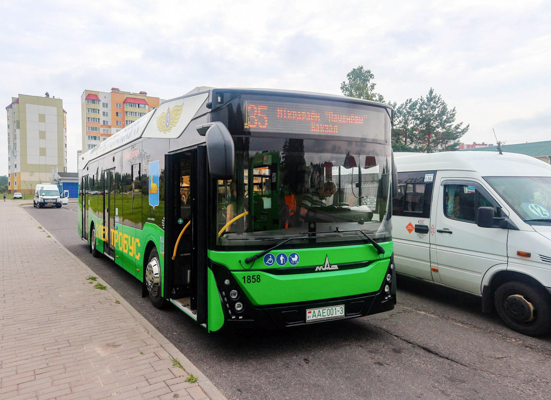 Gomel, MAZ-303.Е10 # 1858