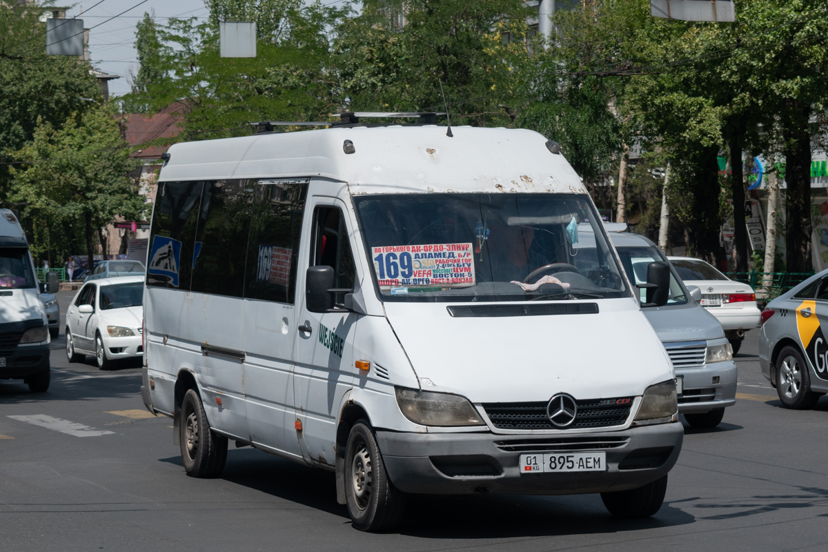 Bishkek, Mercedes-Benz Sprinter 313CDI # 01 895 AEM