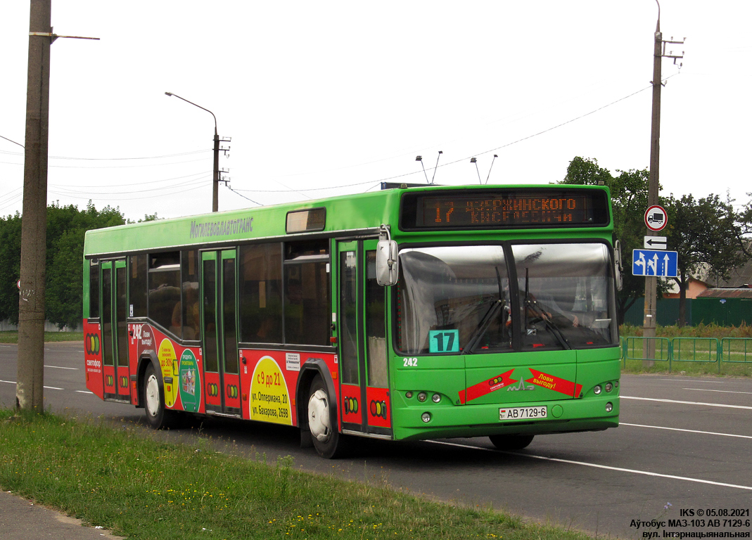 Bobrujsk, MAZ-103.465 # 242