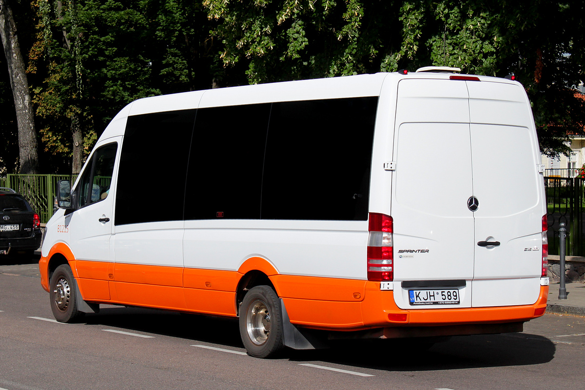 Vilnius, Forveda (Mercedes-Benz Sprinter) nr. B1215