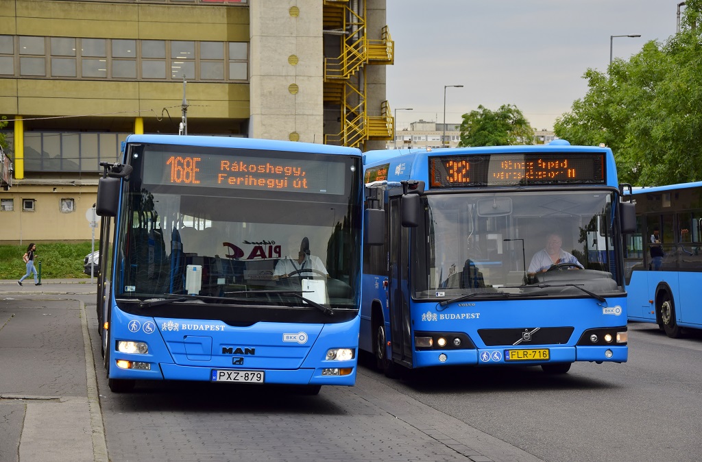 Budapest, MAN A23 Lion's City GL NG313 # PXZ-879; Hungary, other, Volvo 7700A # FLR-716