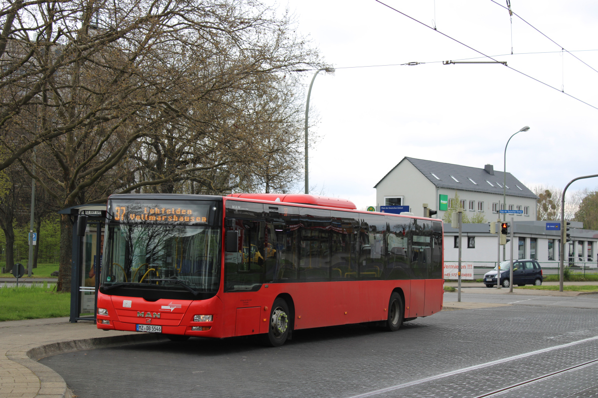Mainz, MAN A21 Lion's City NL283 # MZ-DB 5546