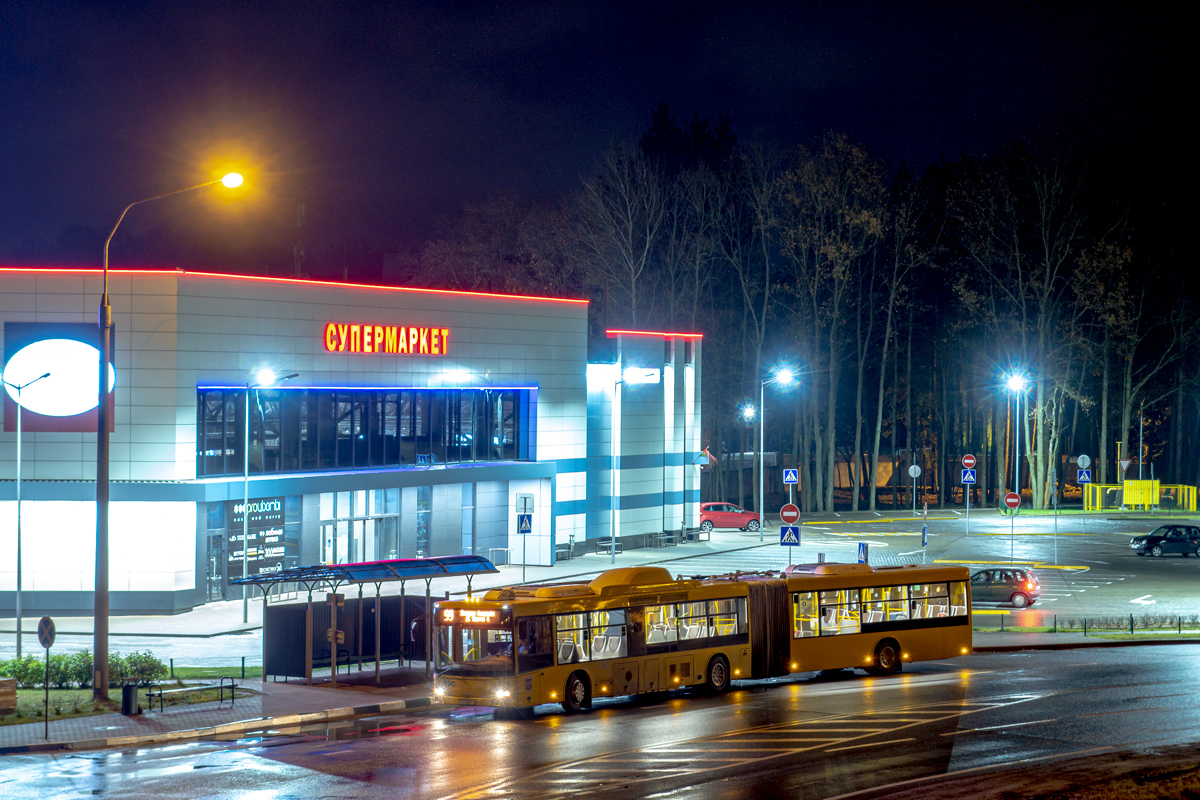Minsk, MAZ-215.069 # 026344