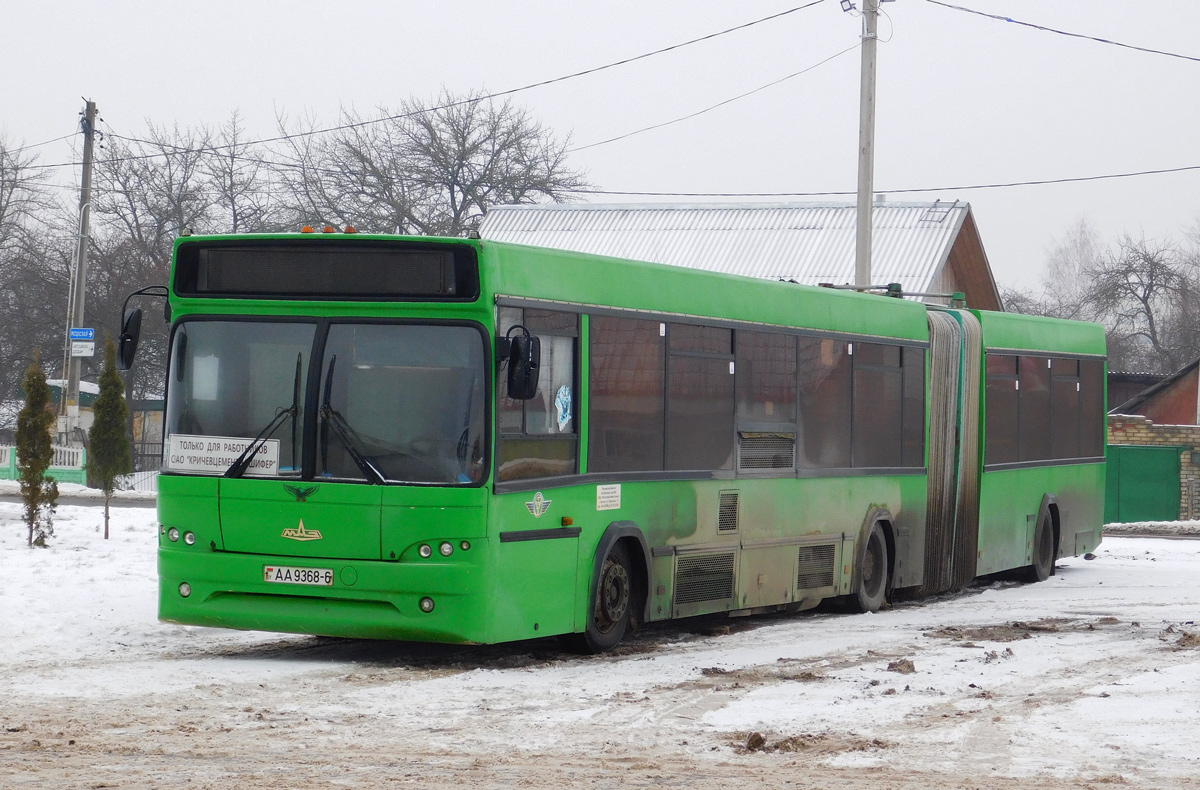 Krichev, МАЗ-105.465 č. 10366