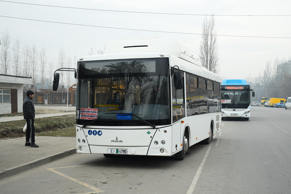Biskek, МАЗ-206.946 №: 216