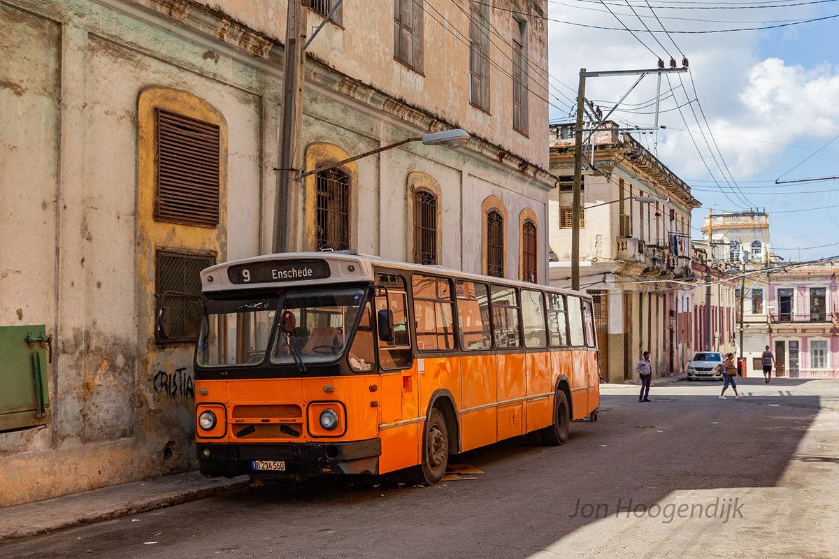 Havana, Hainje №: B 214 560