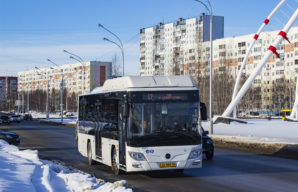 Nizhnevartovsk, Lotos-105C02 # 1223
