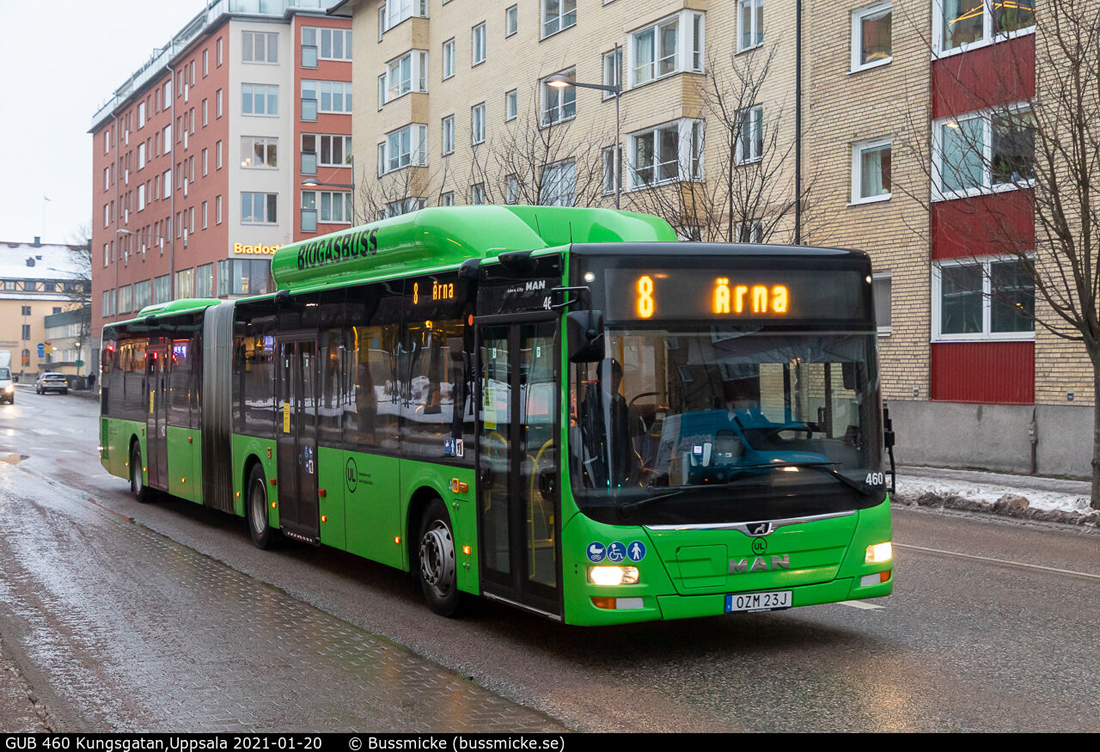 Уппсала, MAN A23 Lion's City G NG313 CNG № 460