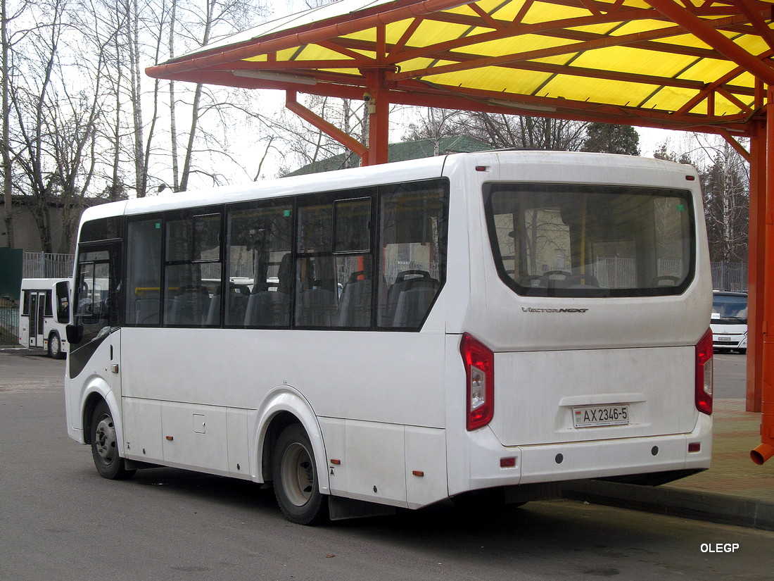 Borisov, ПАЗ-320405-04 "Vector Next" # АХ 2346-5