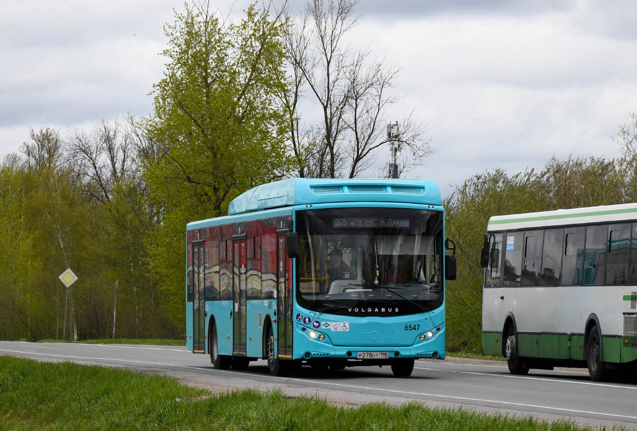 Saint Petersburg, Volgabus-5270.G4 (CNG) No. 6547