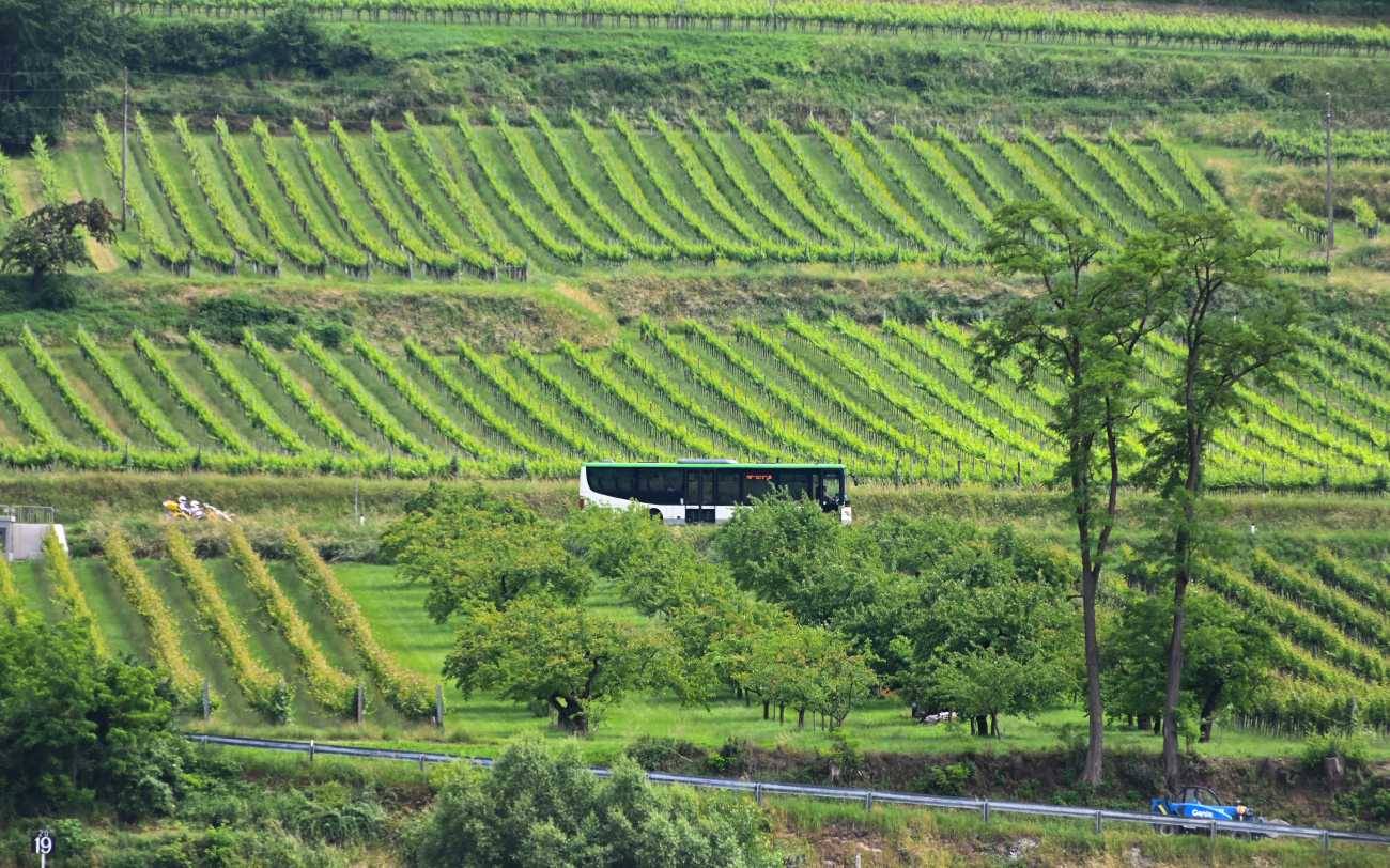 Krems an der Donau — Miscellaneous Photos