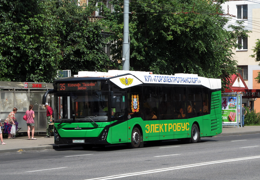 Gomel, MAZ-303.Е10 # 1858