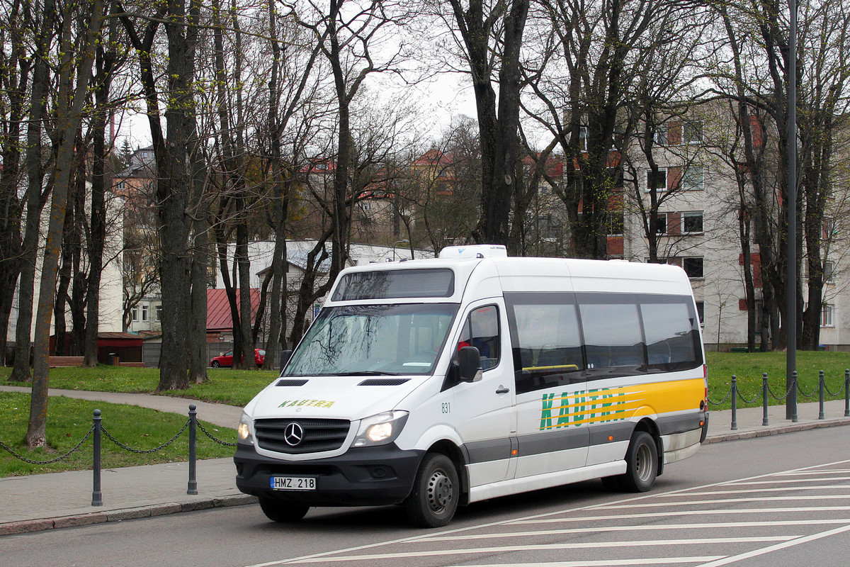 Kaunas, Altas Cityline (MB Sprinter 516CDI) № 831