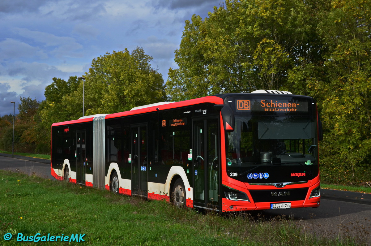 Leverkusen, MAN 18C Lion's City NG330 EfficientHybrid nr. 239