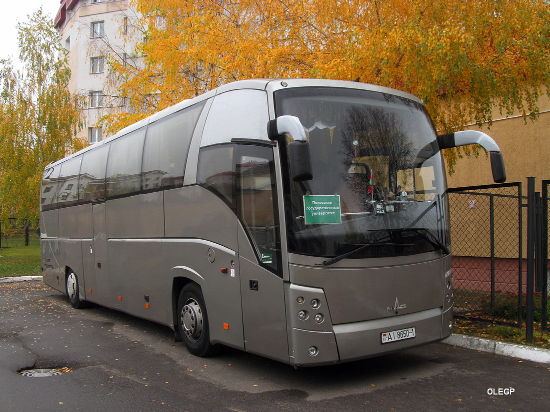 Pinsk, МАЗ-251.050 No. АІ 8650-1