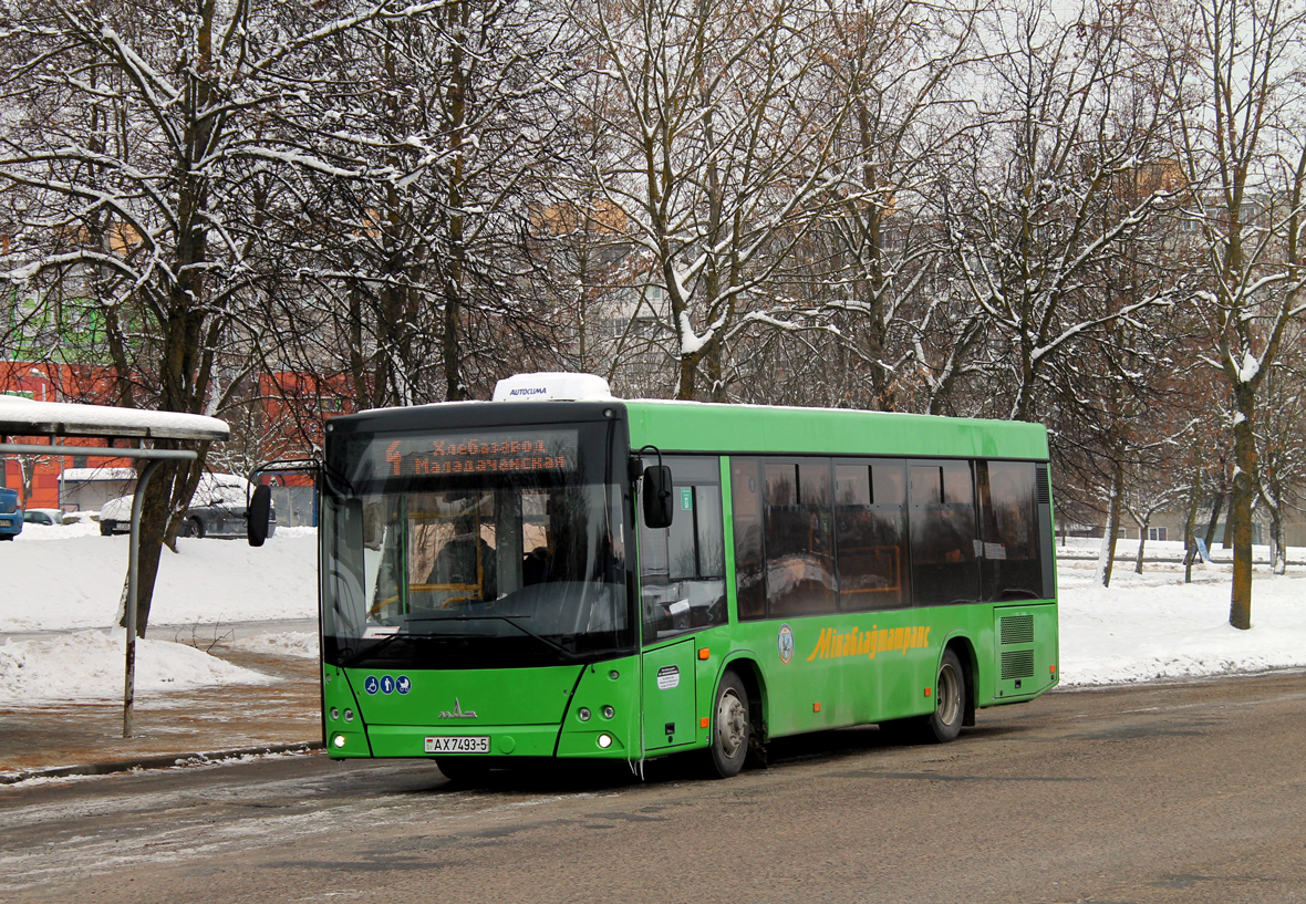 Molodechno, MAZ-206.047 # 23504