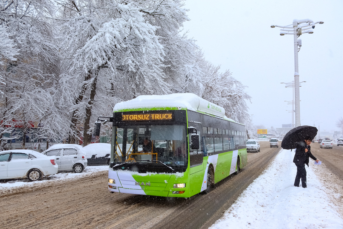 Tashkent — New buses without a number registration
