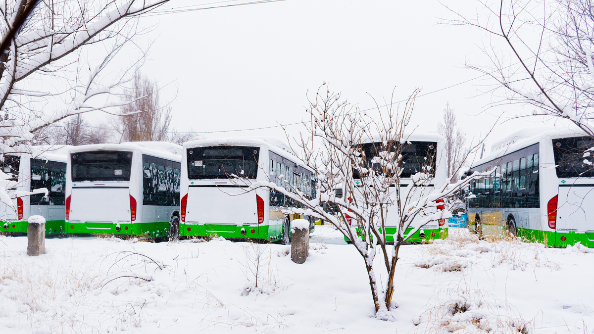 ビシュケク — New buses