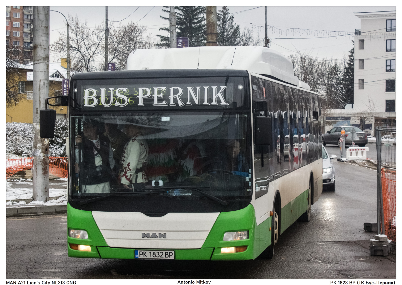 Pernik, MAN A21 Lion's City NL313 CNG # 1832