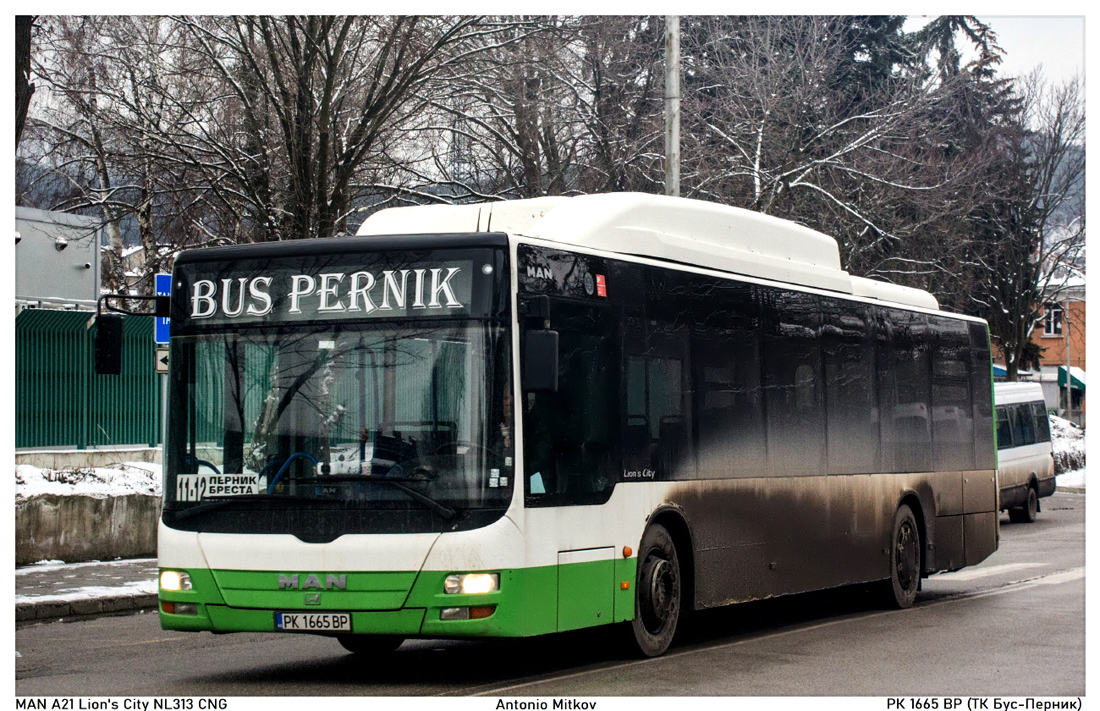 Pernik, MAN A21 Lion's City NL313 CNG nr. 1665