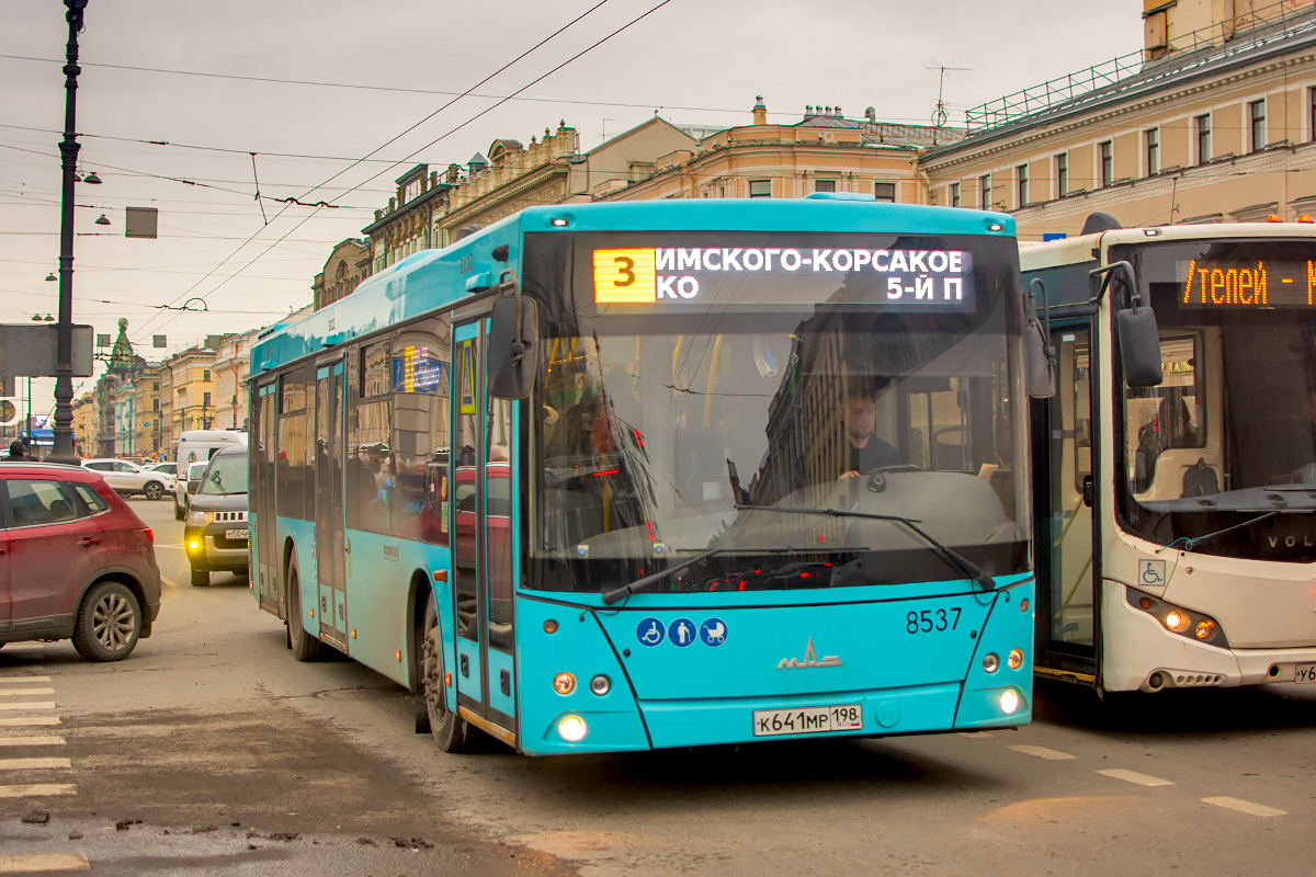 Saint Petersburg, MAZ-203.016 # 8537