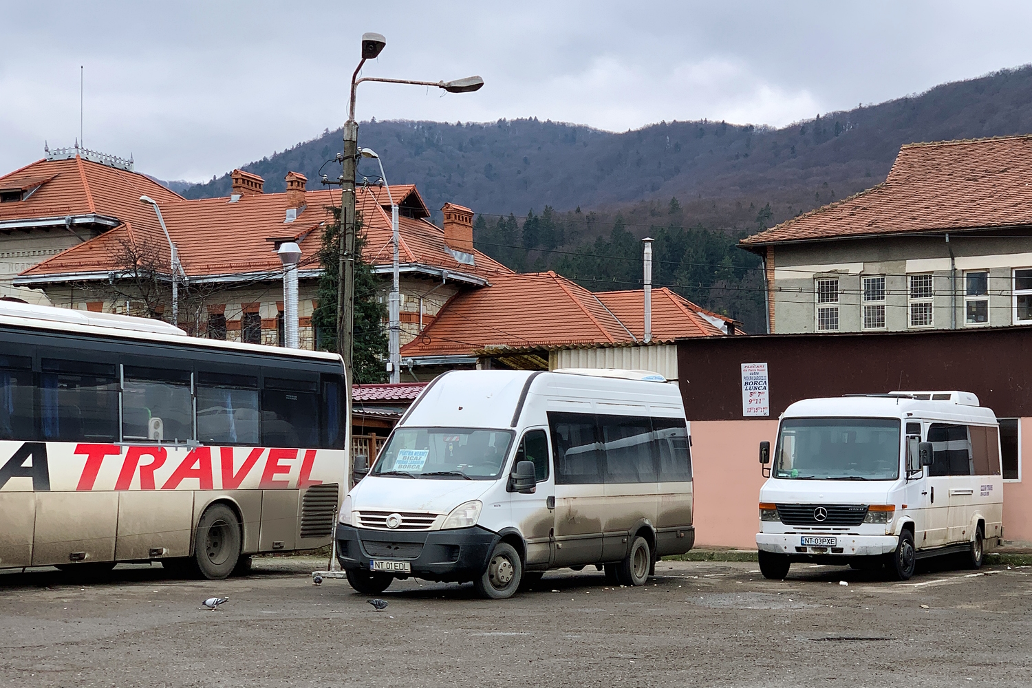 Пьятра-Нямц, Irisbus Daily Touring № NT 01 EDL