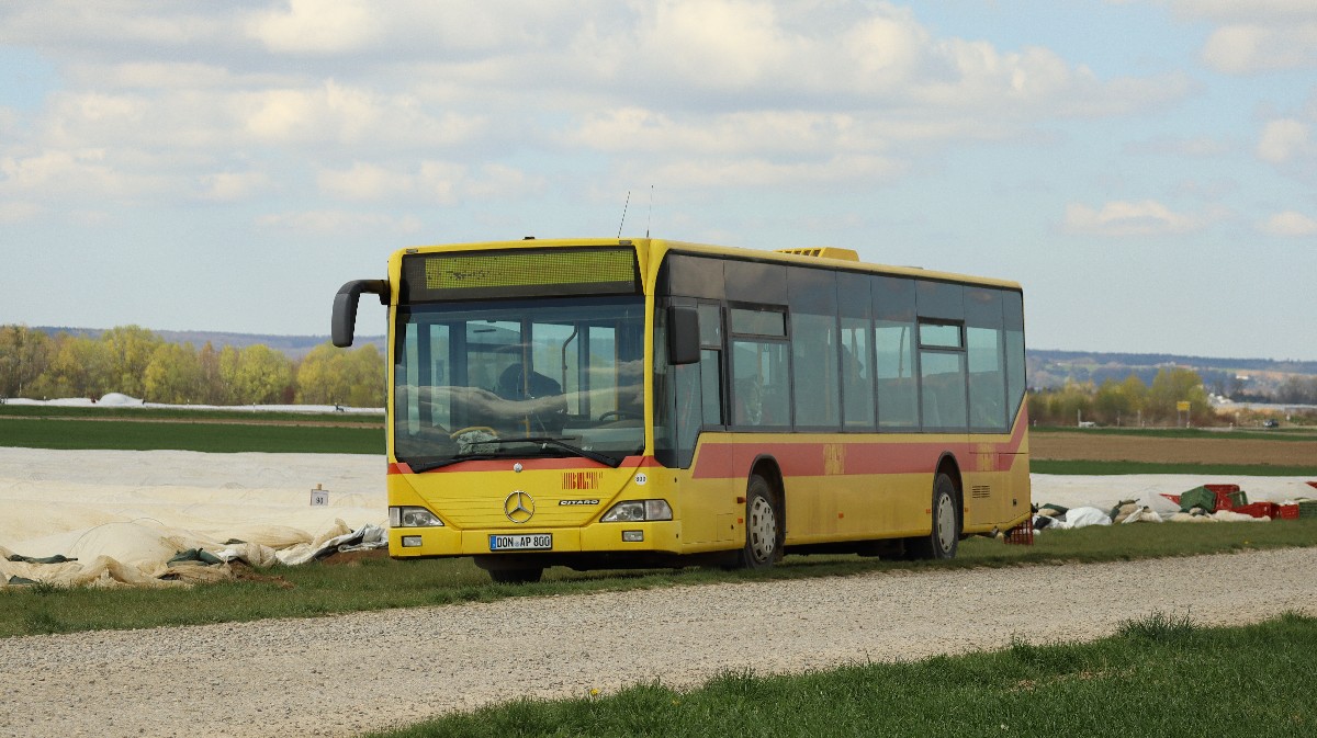 Donauwörth, Mercedes-Benz O530 Citaro № DON-AP 800