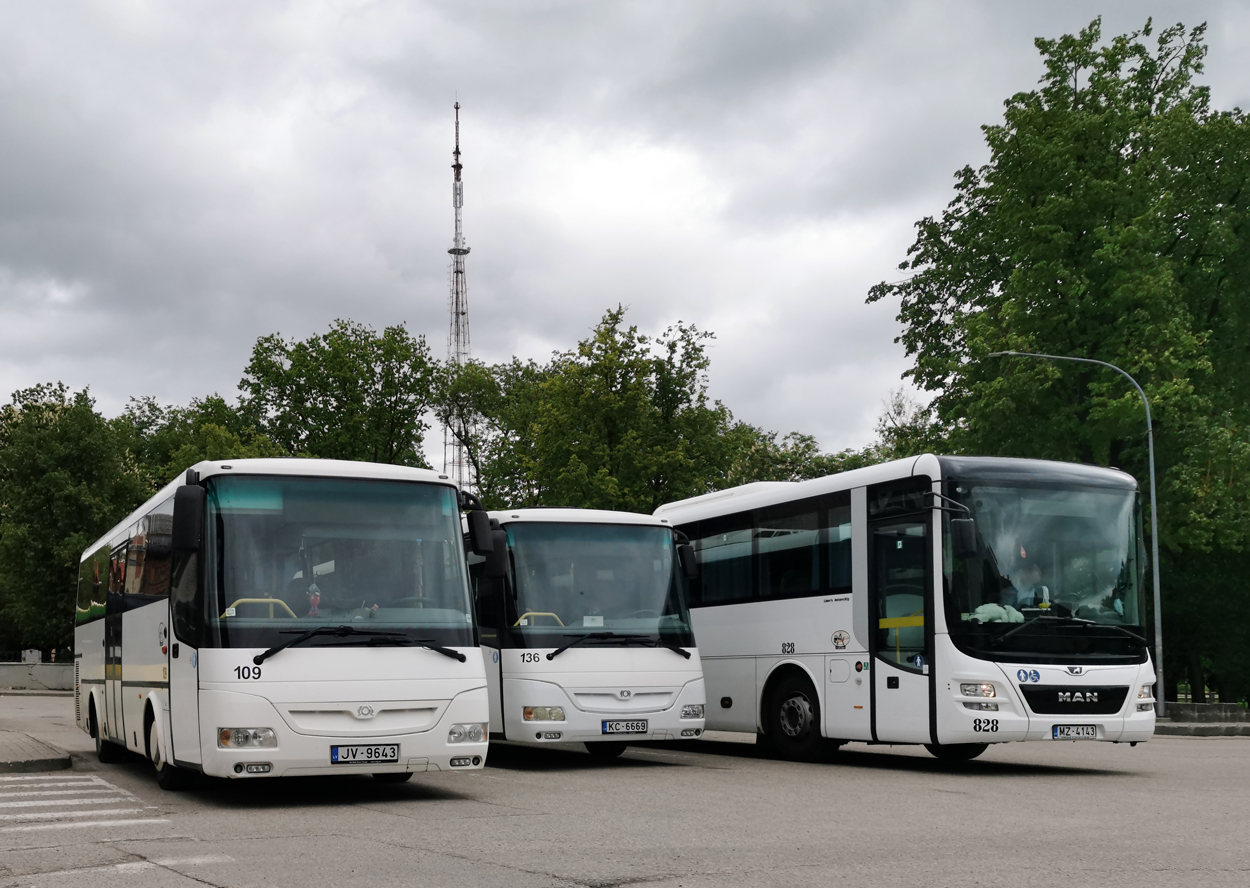 Daugavpils, SOR C 9.5 č. 109; Daugavpils, SOR C 9.5 č. 136; Daugavpils, MAN R60 Lion's Intercity ÜL290-12 č. 828