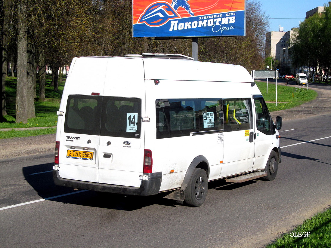 Orsha, Nizhegorodets-222709 (Ford Transit) # 2ТАХ5560