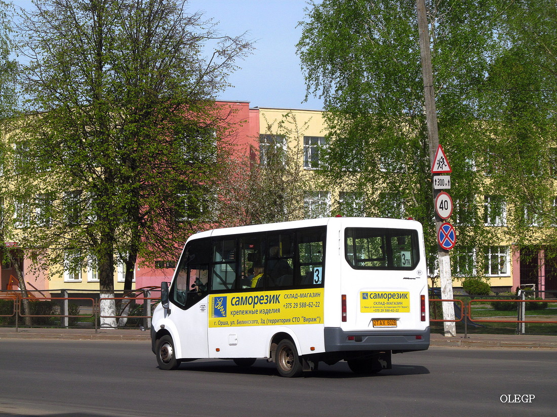 Orsha, GAZ-A6*R42 Next # 2ТАХ6028