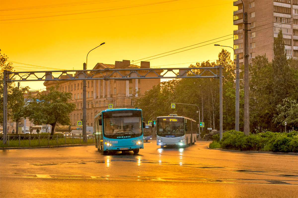 Saint Petersburg, Volgabus-5270.G2 (LNG) # 6175; Saint Petersburg, Volgabus-6271.00 # 7383