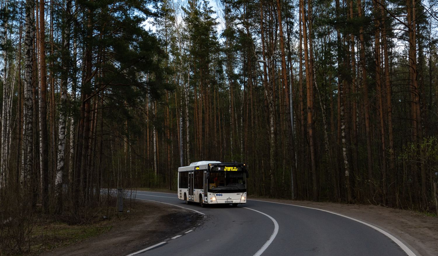 Saint Petersburg, MAZ-206.086 # 4661