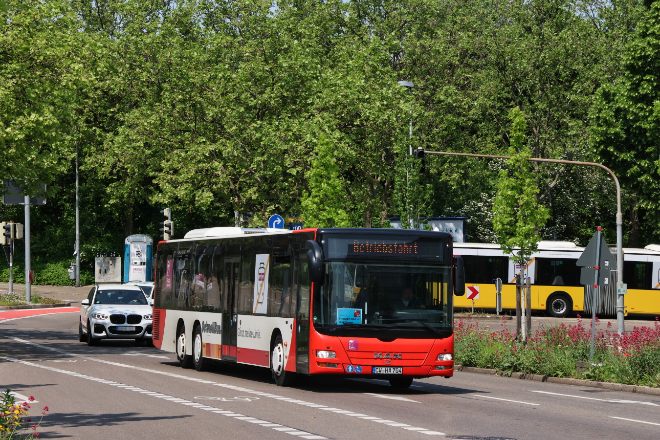 Кальв, MAN A44 Lion's City L LE NL323-15 № CW-HA 704; Штутгарт — EV Digitaler Knoten Stuttgart — 2023