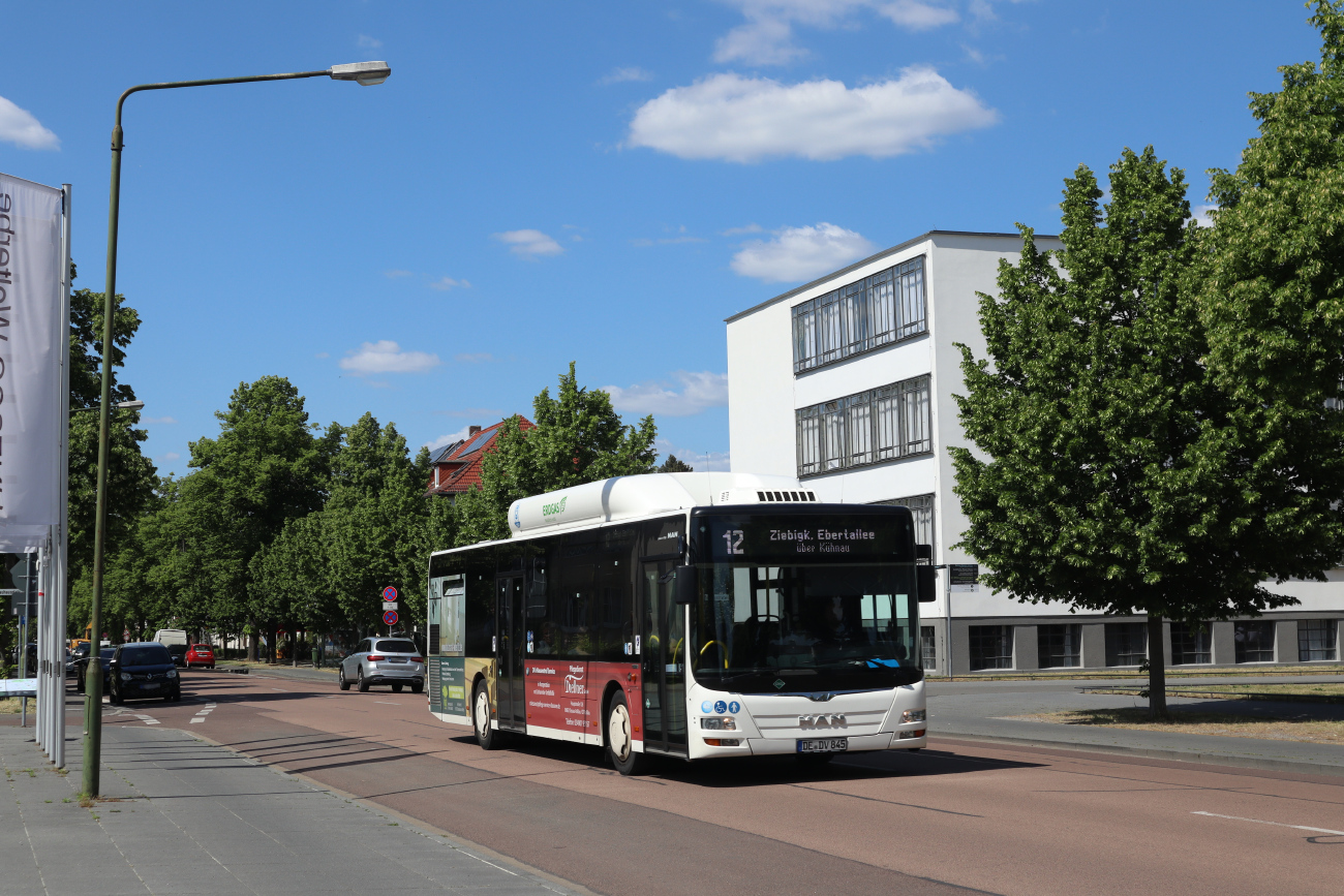 Dessau-Roßlau, MAN A21 Lion's City NL273 CNG # 845