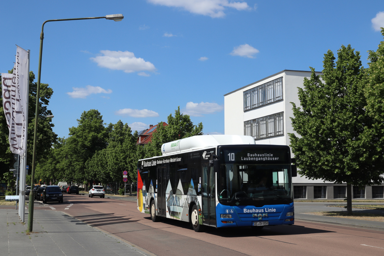Dessau-Roßlau, MAN A21 Lion's City NL243 CNG # 858