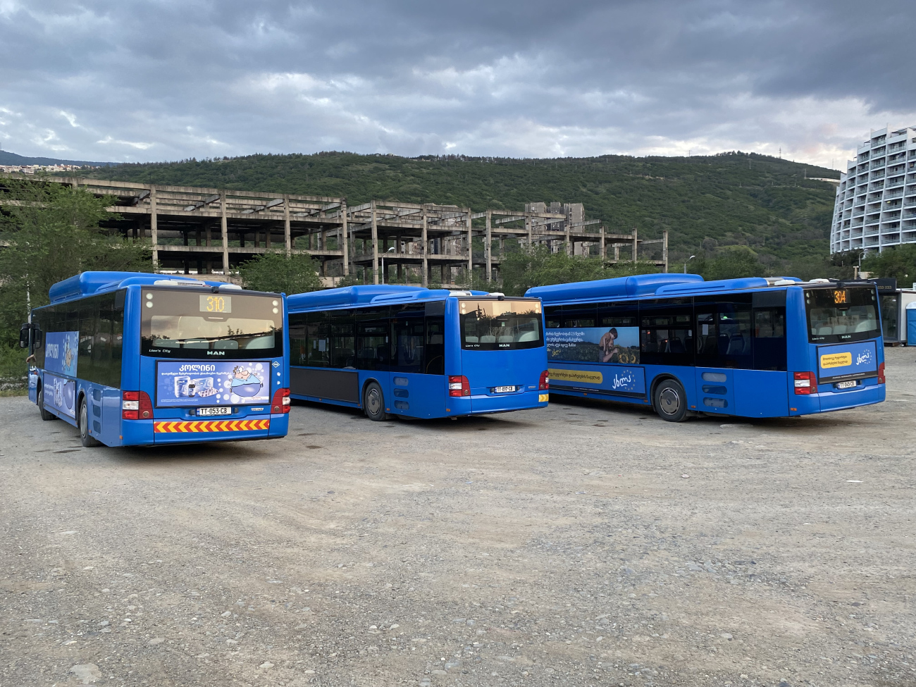 Tbilisi, MAN A21 Lion's City NL313 CNG # TT-053-CB; Tbilisi, MAN A21 Lion's City NL313 CNG # TT-097-CB; Tbilisi, MAN A21 Lion's City NL313 CNG # TT-045-CB