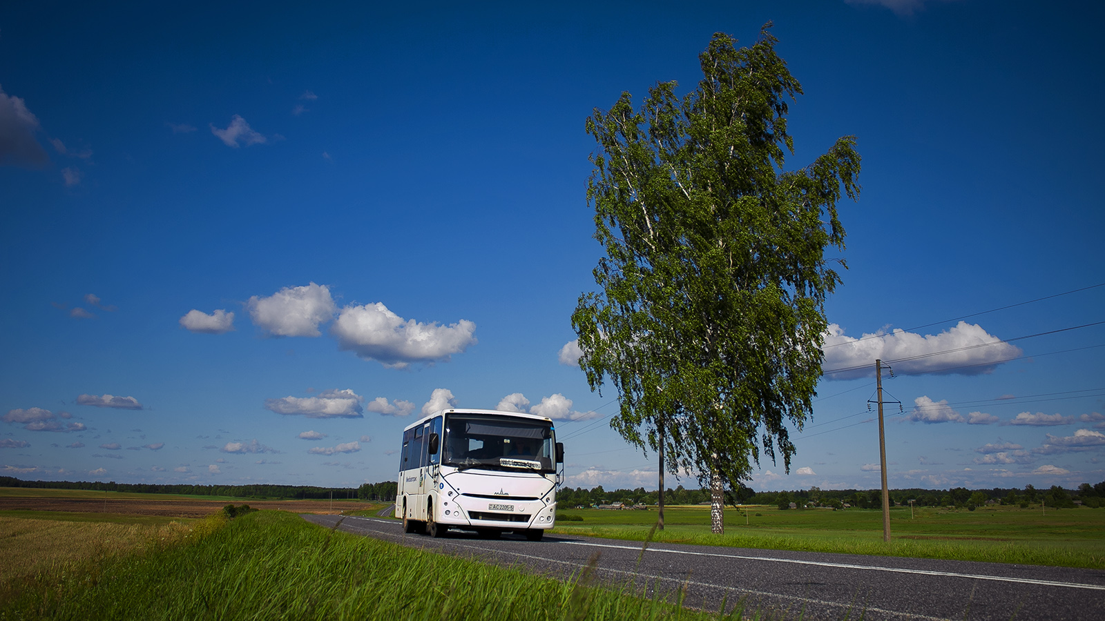 Berezino, MAZ-241.030 # 26621